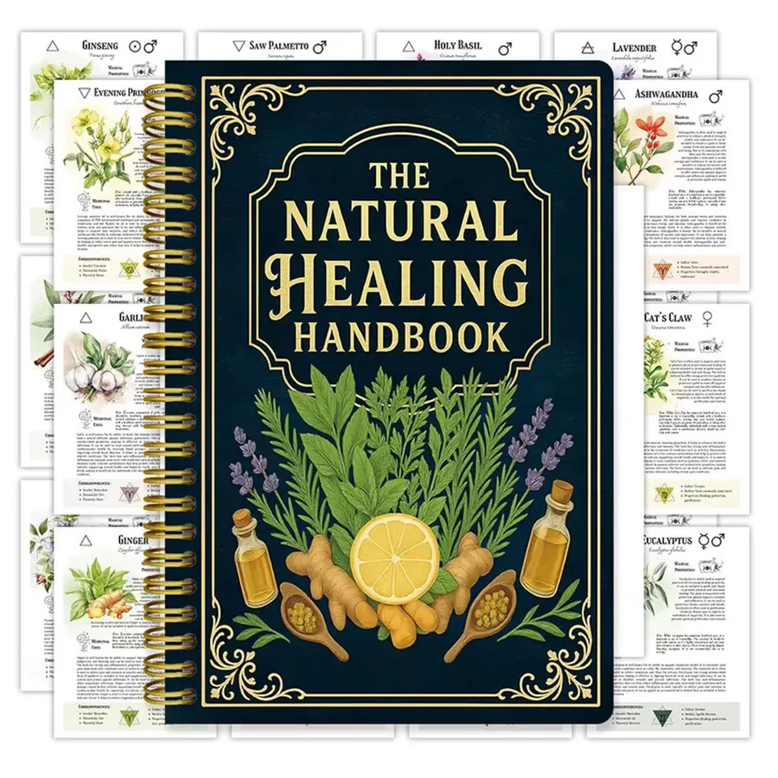 Health & Wellness Là Gì - Healing Handbook By Luna Filby English