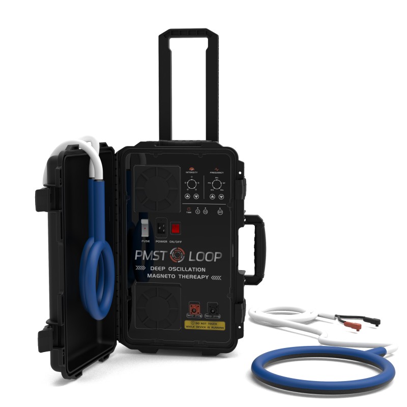 PMST LOOP PEMF Therapy Horse E - огляд і ціна Health Wellness Massage
