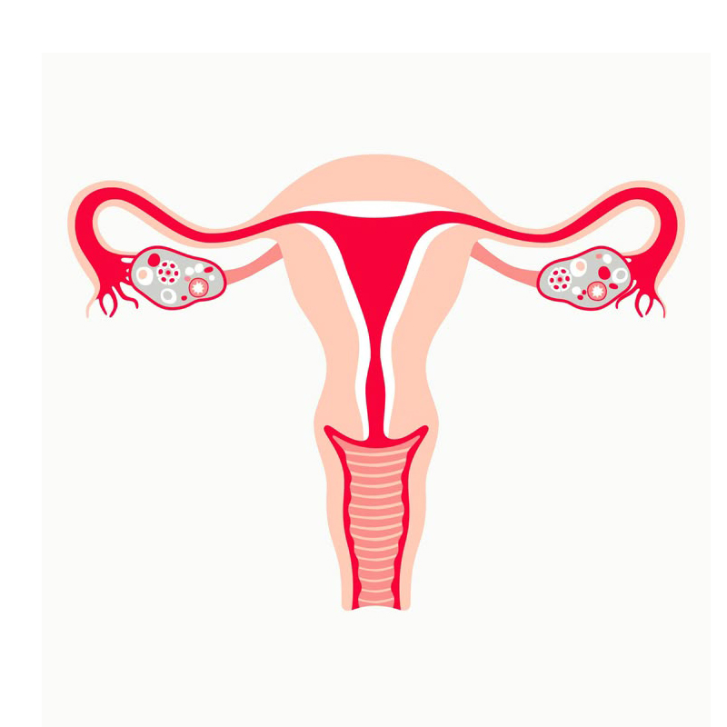Premium Feminine Balance Gummi - огляд і ціна Health And Wellness Promotion